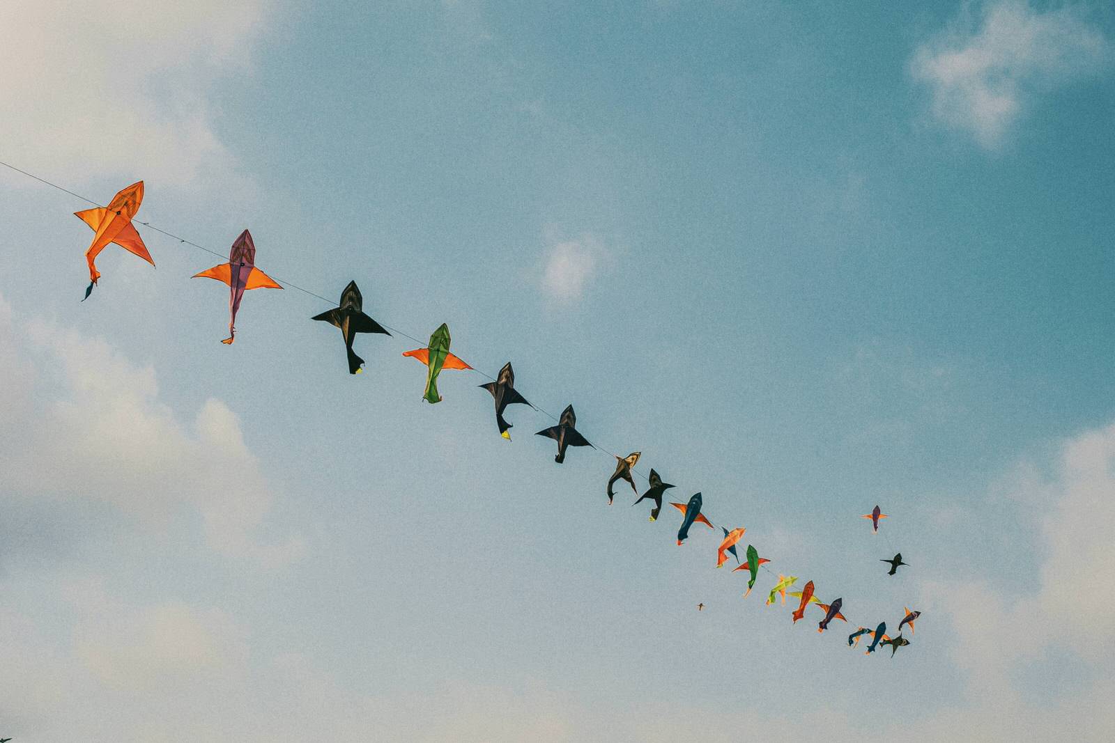 Soaring High: The Joy of Flying Kites on the Beach